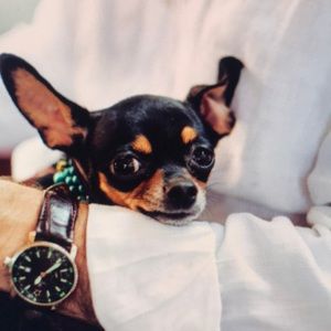 Meet your Posher, Dixie